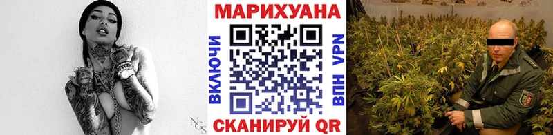 закладки  Новосиль  Шишки марихуана ГИДРОПОН 